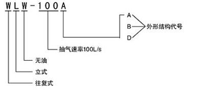 WLW往復(fù)泵型號(hào)說明